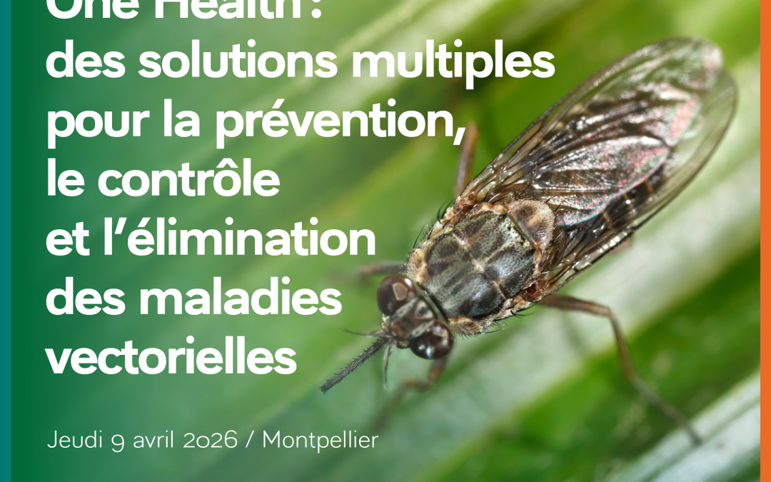 « One Health : des solutions multiples pour la prévention, le contrôle et l’élimination des maladies vectorielles » Jeudi 9 avril, 14h-18h – Maison des relations internationales – Montpellier ou en ligne
