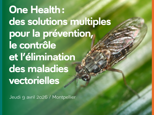 « One Health : des solutions multiples pour la prévention, le contrôle et l’élimination des maladies vectorielles » Jeudi 9 avril, 14h-18h – Maison des relations internationales – Montpellier ou en ligne